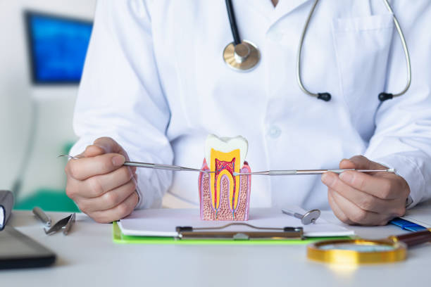 Best Emergency Tooth Extraction in Harriman, NY